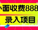 外面收费888的录入项目，简单操作，适合小白操作