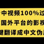 抖音中视频百分百过原创，下载国外平台的电影解说，一键翻译成中文获取收益