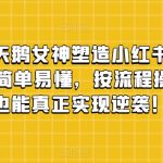 丑小鸭变天鹅女神塑造小红书玩法，月入5万+，简单易懂，按流程操作，草根也能真正实现逆袭！