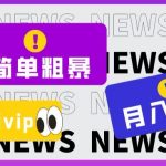 简单粗暴零成本，高回报，全网视频VIP掘金项目，月入2万＋【揭秘】