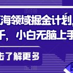 日入过千掘金计划，视频号蓝海领域，小白无脑上手