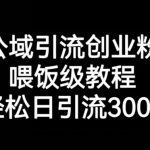 公域引流创业粉，喂饭级教程，轻松日引流300+【揭秘】