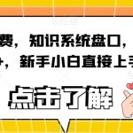 知识付费，知识系统盘口，月入1w+，新手小白直接上手