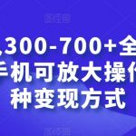 日入300-700+全程1部手机可放大操作多种变现方式【揭秘】