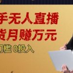 2023蓝海项目，快手无人直播，单号月入5000起步【揭秘】