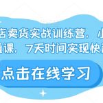 小红书开店卖货实战训练营，小红书入门到精通课，7天时间实现快速变现