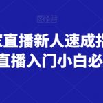 淘宝商家直播新人速成指南，淘宝直播入门小白必看