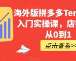 海外版拼多多Temu快速入门实操课，店铺实战从0到1