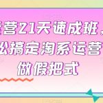 淘系运营21天速成班，0基础轻松搞定淘系运营，不做假把式