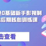 从剪辑到调色0基础新手影视制作，自媒体后期核心训练课