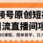 视频号原创短视频引流直播间项目，日入3~5五位数【揭秘】