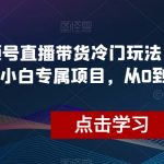 视频号直播带货冷门玩法，日入1000+，小白专属项目，从0到1实战教学【揭秘】