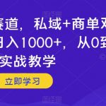 婴儿早教赛道，私域+商单双重变现，日入1000+，从0到1实战教学【揭秘】