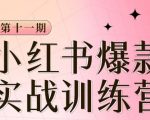 小红书博主爆款训练营第11期，手把手教你从0-1做小红书，从定位到起号到变现