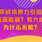 新·微商零成本暴力引流丨都2023了微商还能做？有大把流量，为什么不能