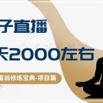 十万个富翁修炼宝典之3.念稿子直播，一天2000左右