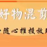 万三】好物混剪付费随心推投放玩法，随心投放小课抖音教程”