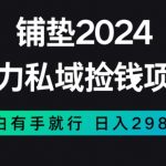 暴力私域捡钱项目，小白无脑操作，日入2980【揭秘】