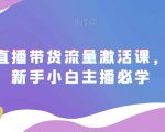 抖音直播带货流量激活课，入行新手小白主播必学