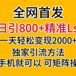 全网首发！日引800+精准老色批，一天变现2000+，独家引流方法，可矩阵操作【揭秘】