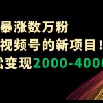 1条视频暴涨数万粉–小红书+视频号的新项目！单月轻松变现2000-4000【揭秘】