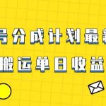 视频号最新爆火赛道玩法，只需无脑搬运，轻松过原创，单日收益上千【揭秘】