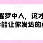 一文惊醒梦中人，这才是当下社会能让你发达的真相【公众号付费文章】