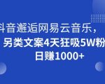 抖音邂逅网易云音乐，另类文案4天狂吸5W粉，日赚1000+【揭秘】