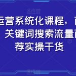 抖店运营系统化课程，商品卡优化，关键词搜索流量商城推荐实操干货