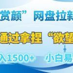 赏颜”网盘拉新赛道，通过拿捏“欲望”日入1500+，小白易上手【揭秘】