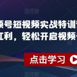 视频号短视频实战特训营，踩准风口红利，轻松开启视频号爆单之路