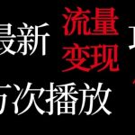 抖音流量变现，万次播放保底5元，额外收入