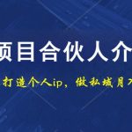 项目合伙人项目，打造个人IP，做私域月入5W，小白勿扰