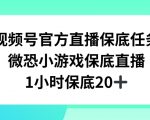 视频号直播任务，微恐小游戏，1小时20+【揭秘】