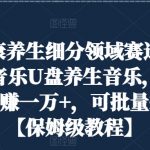 健康养生细分领域赛道，卖音乐U盘养生音乐，轻松月赚一万+，可批量操作【保姆级教程】