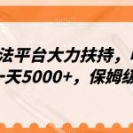 冷门玩法平台大力扶持，收益稳定，一天5000+，保姆级教程（附抖音7天起号法