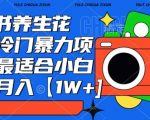 小红书养生花茶，冷门暴力项目，最适合小白做，月入【1W+】