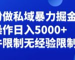 负债粉私域暴力掘金，小白操作入5000，无经验限制，无条件限制【揭秘