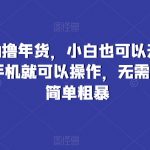 京东无限0撸年货，小白也可以无限放大操作，一部手机就可以操作，无需其他操作，简单粗暴