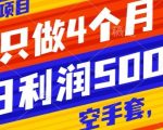 抖音蓝海项目，一年只做4个月，空手套，无货源，单日利润5000+”