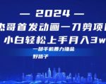 最新首发动画一刀剪野路子暴力撸金月入3w小白轻松上手