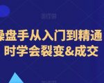 抖音操盘手从入门到精通，3小时学会裂变&成交