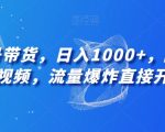 视频号带货，日入1000+，陪跑代发视频，流量爆炸直接开播