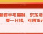 最新薅羊毛福利，京东活动，只要一分钱，可得16元