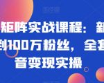 抖音矩阵实战课程：新手从0到100万粉丝，全套抖音变现实操