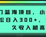 冷门蓝海项目，小白也能轻松日入300+，做得越久收入越高