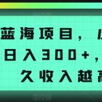 冷门蓝海项目，小白也能轻松日入300+，做得越久收入越高