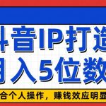 抖音IP打造，适合个人操作，赚钱效应明显，月入5位数