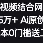 AI美女视频结合网盘拉新，日收5万+两分钟一条Ai原创视频，0成本0门槛送工具【揭秘】