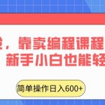 全网首发，靠卖编程课程轻松日入600+，新手小白也能轻松上手